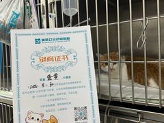 -美联众合动物医院·24h京西诊疗中心