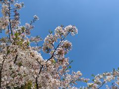 -杭州少年儿童公园