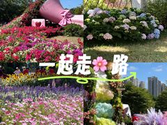 -海心沙亚运公园