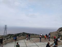 -洋山深水港