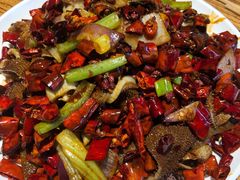 -福苗小骆驼烧烤(莲湖路店)