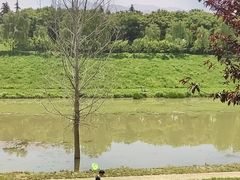 -洨河生态公园