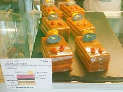 沙棘枸杞巧克力蛋糕-Tian品