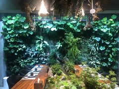 -森味薪火烧•烧鸟居酒屋•日本料理(望京店)