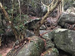 -七仙岭温泉国家森林公园