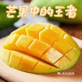 “芒芒”人海，有“果”相伴
