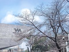 -武汉大学-樱园