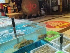 -和源祥·日照菜扛把子(万平口一店)