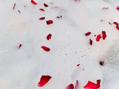 -北京美神宫艺术主题温泉酒店