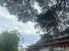 -上海东林寺(金山区)