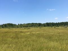 -塞罕坝国家级自然保护区