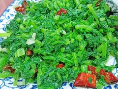 -照金特色农家乐