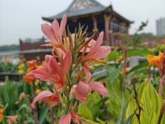 -顺峰山公园