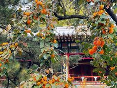 -潭柘寺景区
