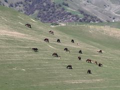 -新疆那拉提国家旅游度假区