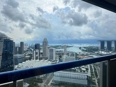 -新加坡瑞士史丹福酒店