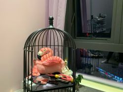 -芮娅时光半永久纹眉·美甲美睫·皮肤管理