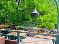 -野蔓果·山野菜(西湖景区·龙井茶田店)