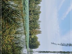 -东湖听涛景区