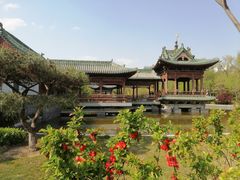 -迎泽公园