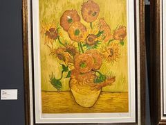 -湖北美术学院(昙华林校区)