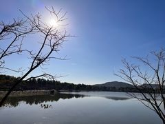 -羊山湖公园