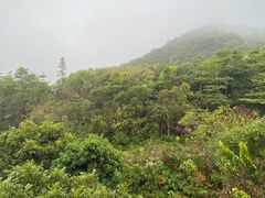-深圳东部华侨城茵特拉根酒店