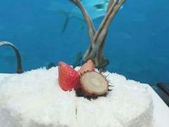 -瑞德姆美人鱼海底演艺主题餐厅(亚龙湾店)