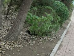 -汤沐邑温泉会馆