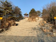 -大兴滨河森林公园