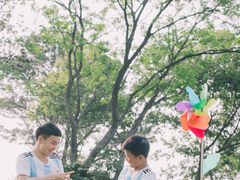 -南湖大桥