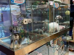 -FAELING PETS美天灵宠物(富力广场店)