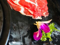 -丽江庭院之爱在路上(西单店)