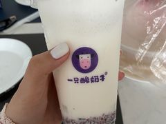 -一只酸奶牛(八一路店)