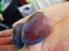-萝卜寨羌文化生态旅游区