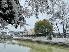 -川沙古镇-停车场