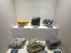 -安徽省地质博物馆