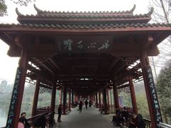 -重庆彩云湖湿地公园
