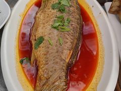 -春满园生态餐厅(南宫路店)