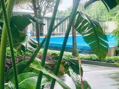-福州西湖大酒店·怡湖咖啡厅