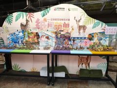 -正佳雨林生态植物园