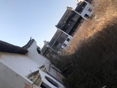 -上海鲜花港