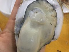 -蚝专家(北滘店)