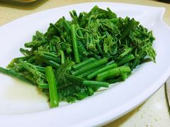 丝瓜尖-一品滇香·云南菜(公益西桥店)
