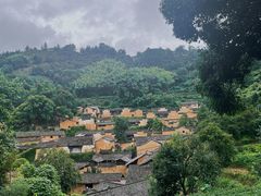 -杨家堂村