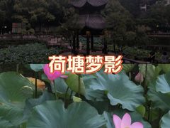 -忠山公园