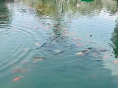 -水磨沟公园