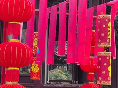 -上海海湾国家森林公园