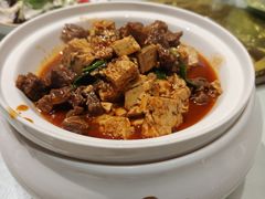 菜豆腐牛腩煲-东方饭庄老菜馆