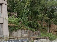 -南山植物园